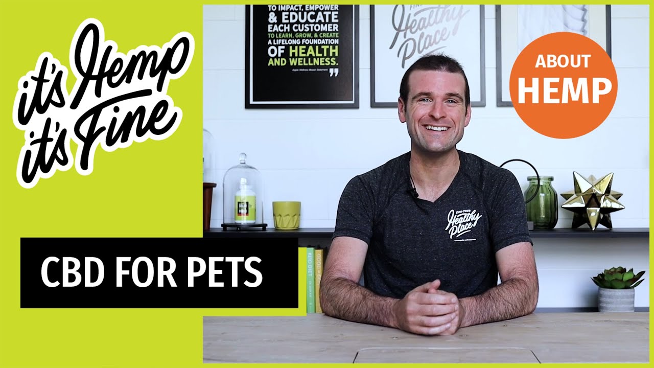 A video thumbnail for "CBD for Pets" featuring a smiling man at a table with "it's Hemp, it's Fine" text, a bright lime green background, and an "ABOUT HEMP" label in an orange circle.