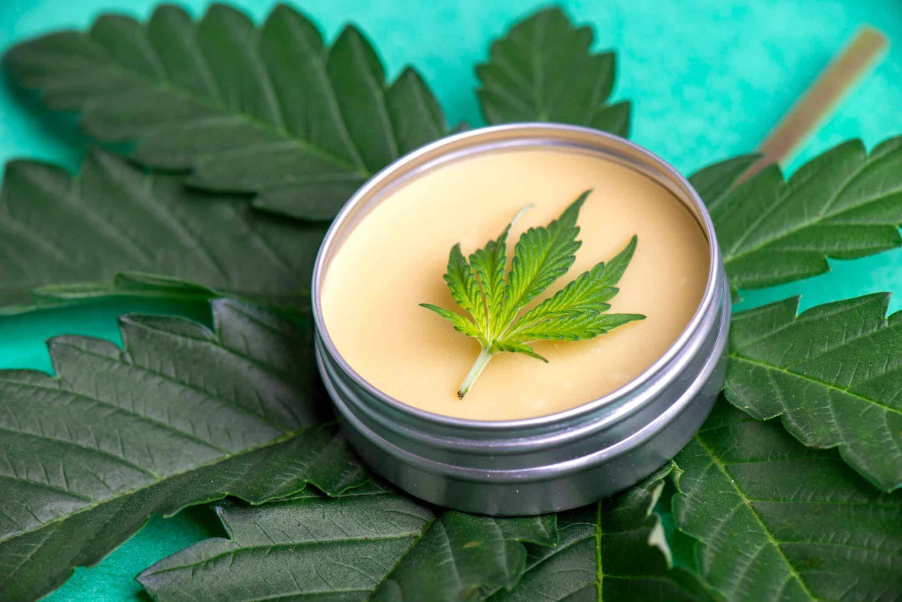 A tin of CBD-infused balm with a smooth, golden surface sits atop fresh cannabis leaves. A small cannabis leaf rests on the balm, emphasizing its natural ingredients. The background features a vibrant green surface.