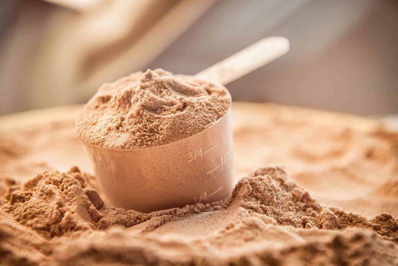 A close-up of a scoop filled with chocolate-flavored whey protein powder, resting on a bed of the same powder. The scoop has measurement markings, emphasizing portion control for protein supplementation.