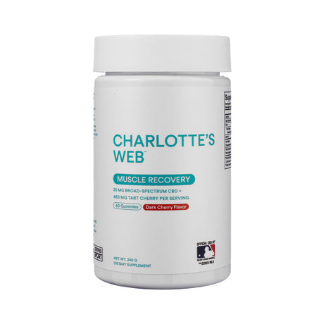 Front label of Charlotte’s Web Muscle Recovery Gummies, 60-count container, deep red-orange packaging with recovery emphasis, turmeric and ginger illustrations, and athletic theme elements.