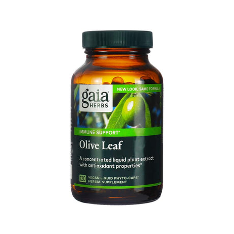 Amber bottle of Gaia Herbs Olive Leaf supplement featuring a close-up image of a green olive on the label. Promotes immune support with a concentrated liquid plant extract known for its antioxidant properties, containing 120 vegan liquid phyto-caps.