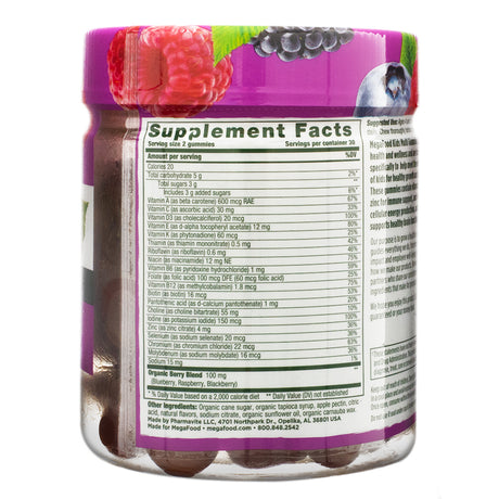 The back of a MegaFood Kids Multi Gummies jar, displaying the supplement facts label. The label lists key vitamins and minerals, including vitamins A, C, D, E, and B-complex, as well as zinc, selenium, and choline. It also includes an organic berry blend (blueberry, raspberry, blackberry) and other ingredients like organic cane sugar and organic tapioca syrup.
