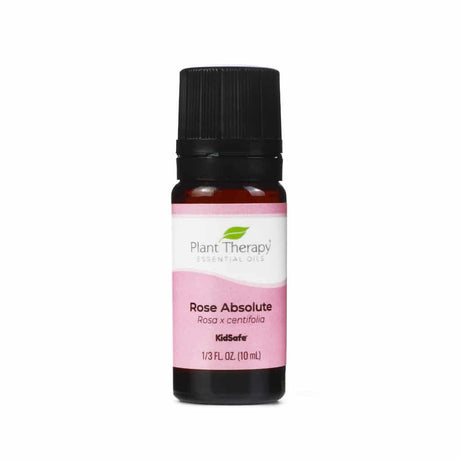 Plant Therapy Rose Absolute Essential Oil, 10 mL bottle. The amber glass bottle has a black cap and a pink and white label displaying the botanical name "Rosa x centifolia" and "KidSafe" certification. Rose absolute is known for its rich floral aroma and skin-nourishing benefits.