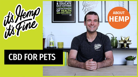 A video thumbnail for "CBD for Pets" featuring a smiling man at a table with "it's Hemp, it's Fine" text, a bright lime green background, and an "ABOUT HEMP" label in an orange circle.
