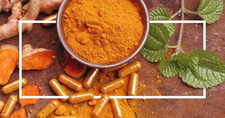 what is the difference between turmeric and curcumin curcumin vs turmeric health food store madison wi the healthy place