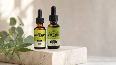 Wild Theory THC-free CBD isolate oil, 750mg and 1500mg dropper bottles, on a stone ledge with hemp leaf and eucalyptus