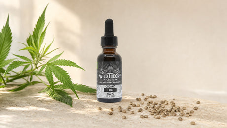 Hemp extract oil dropper bottle on a stone surface with fresh hemp leaves and scattered hemp seeds.