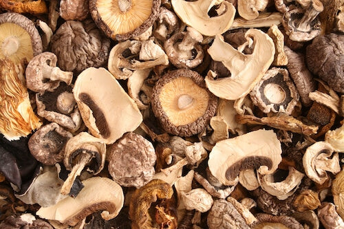 mushrooms for immune support mushrooms for immune health food store madison wi the healthy place