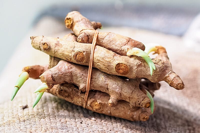 A bundle of fresh turmeric roots with sprouts, tied together, on a natural fiber mat, indicating organic produce.