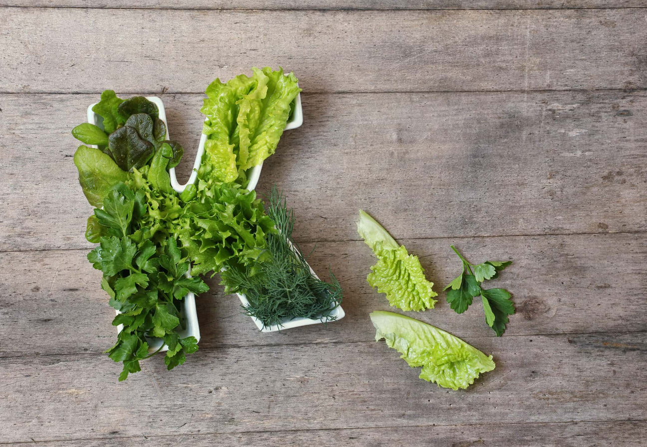 An assortment of leafy greens, including lettuce, parsley, and dill, arranged in the shape of the letter "K" on a rustic wooden background. The display emphasizes vitamin K-rich foods in a creative and natural presentation.