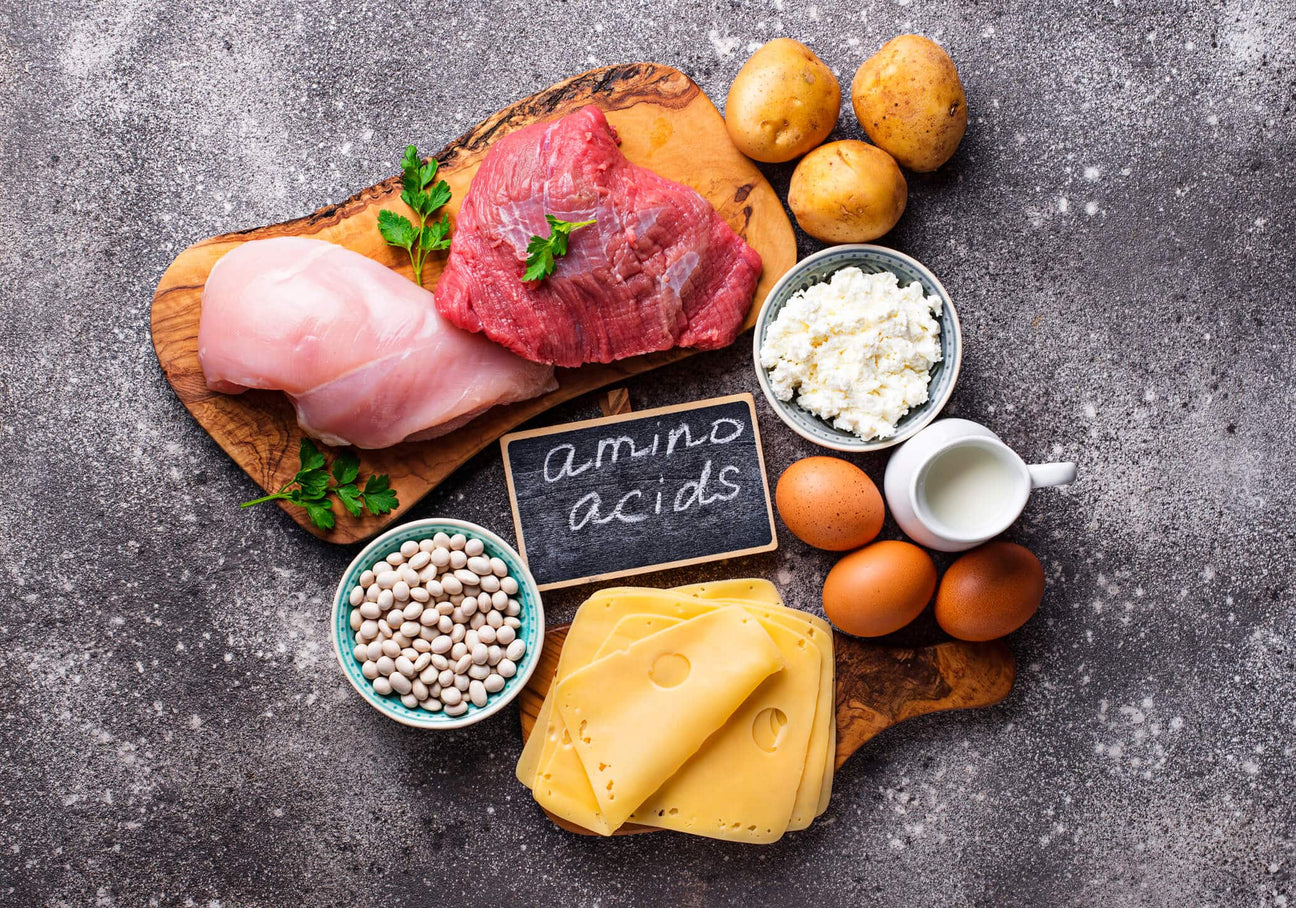 High-protein foods rich in amino acids are displayed on a dark textured surface: raw chicken breast, red meat, eggs, cheese slices, white beans, cottage cheese, potatoes, and a small jug of milk. A chalkboard sign in the center reads "amino acids."