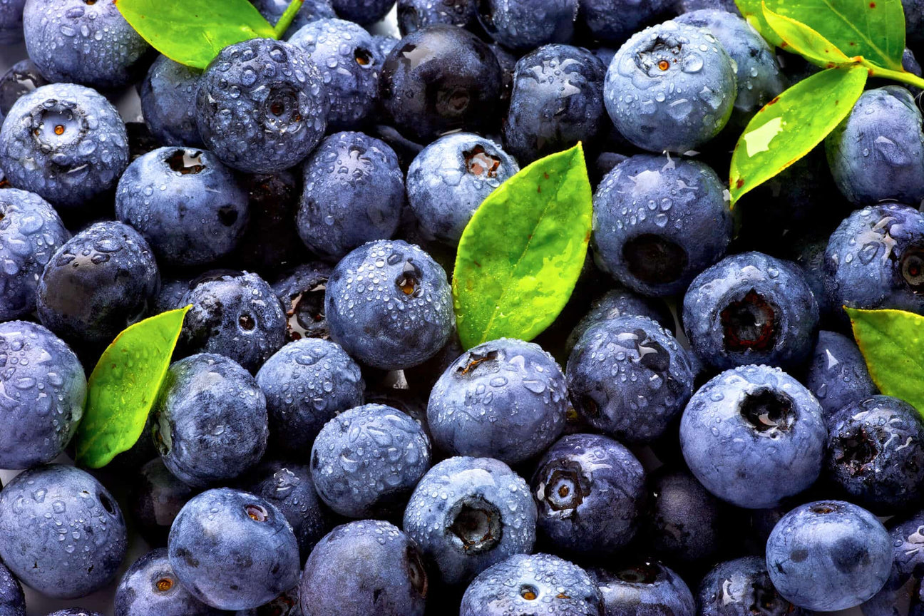 A close-up of fresh blueberries covered in tiny water droplets, with a few bright green leaves scattered among them. The berries have a deep blue-purple hue, highlighting their natural ripeness and antioxidant-rich properties.