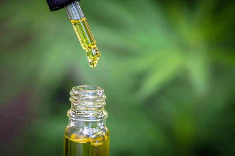 A dropper releases golden CBD oil into a small glass bottle against a blurred green background of cannabis leaves. The close-up highlights the purity and richness of the oil, emphasizing its natural origin.