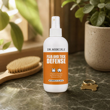 Dr. Mercola Flea & Tick Defense Spray for Pets beside a dog on a wooded outdoor trail