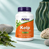NOW Foods Kelp 325 mcg bottle with fresh seaweed, stones and a green ribbed vase on a pale blue surface