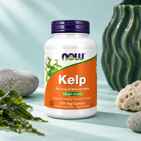 NOW Foods Kelp 325 mcg bottle with fresh seaweed, stones and a green ribbed vase on a pale blue surface