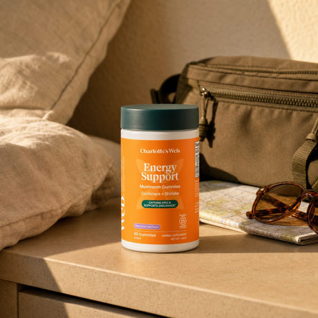 Charlotte's Web Energy Support Mushroom Gummies in a wellness lifestyle scene