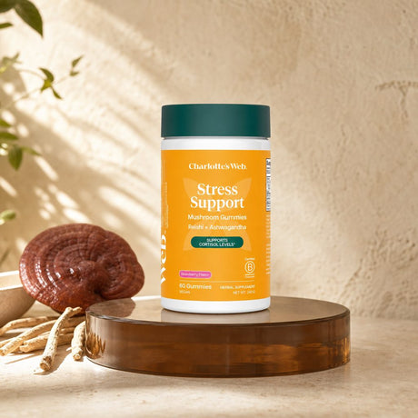 Charlotte's Web Stress Support Mushroom Gummies in a wellness lifestyle scene