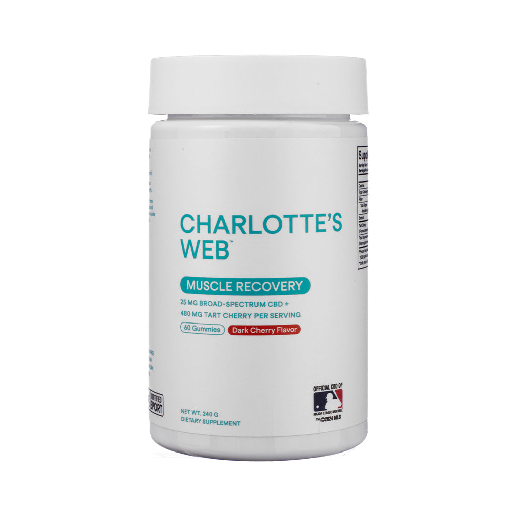 Front label of Charlotte’s Web Muscle Recovery Gummies, 60-count container, deep red-orange packaging with recovery emphasis, turmeric and ginger illustrations, and athletic theme elements.