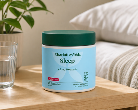 Charlotte’s Web Sleep Gummies jar with melatonin on bedside table with plant and water glass in softly lit bedroom setting