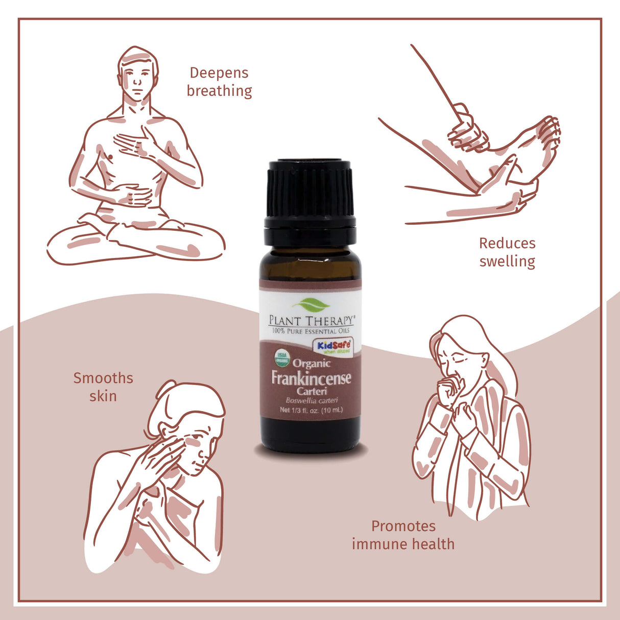 Promotional image for Plant Therapy Organic Frankincense Carterii Essential Oil. The central focus is a bottle of essential oil with the Plant Therapy logo. Surrounding the bottle are illustrations demonstrating its benefits: deepening breathing with a meditative pose, reducing swelling with a hand massage, smoothing skin with a facial application, and a woman coughing to represent promoting immune health.