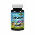 natures plus animal parade® sugar-free calcium children's chewables vanilla ice cream sundae flavor 90 tablets 45 day supply