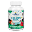 A white bottle with a colorful label depicting a hammock scene and "Nordic Naturals Kids Calm Gummies." The product promotes relaxation and a sense of calm for children aged 3 and up, featuring magnesium and L-theanine in a strawberry watermelon flavor, with 60 gummies.