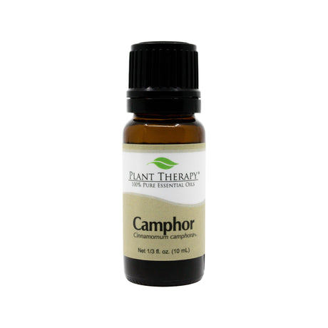 plant therapy camphor essential oil 10 ml 1/3 fluid ounce