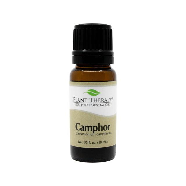 plant therapy camphor essential oil 10 ml 1/3 fluid ounce