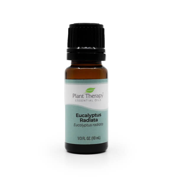 Plant Therapy Eucalyptus Radiata Essential Oil the Healthy Place Madison WI