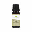 plant therapy ginger root essential oil (co2) 10 ml 1/3 fluid ounce