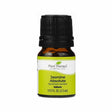 plant therapy jasmine essential oil (absolute) 2.5 ml 1/12 fluid ounce