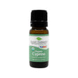 plant therapy organic cypress essential oil 10 ml 1/3 fluid ounce