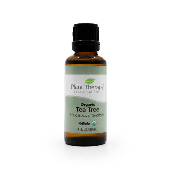 plant therapy organic tea tree essential oil 30 ml 1 fluid ounce