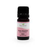 plant therapy rose essential oil (absolute) 5 ml 1/6 fluid ounce