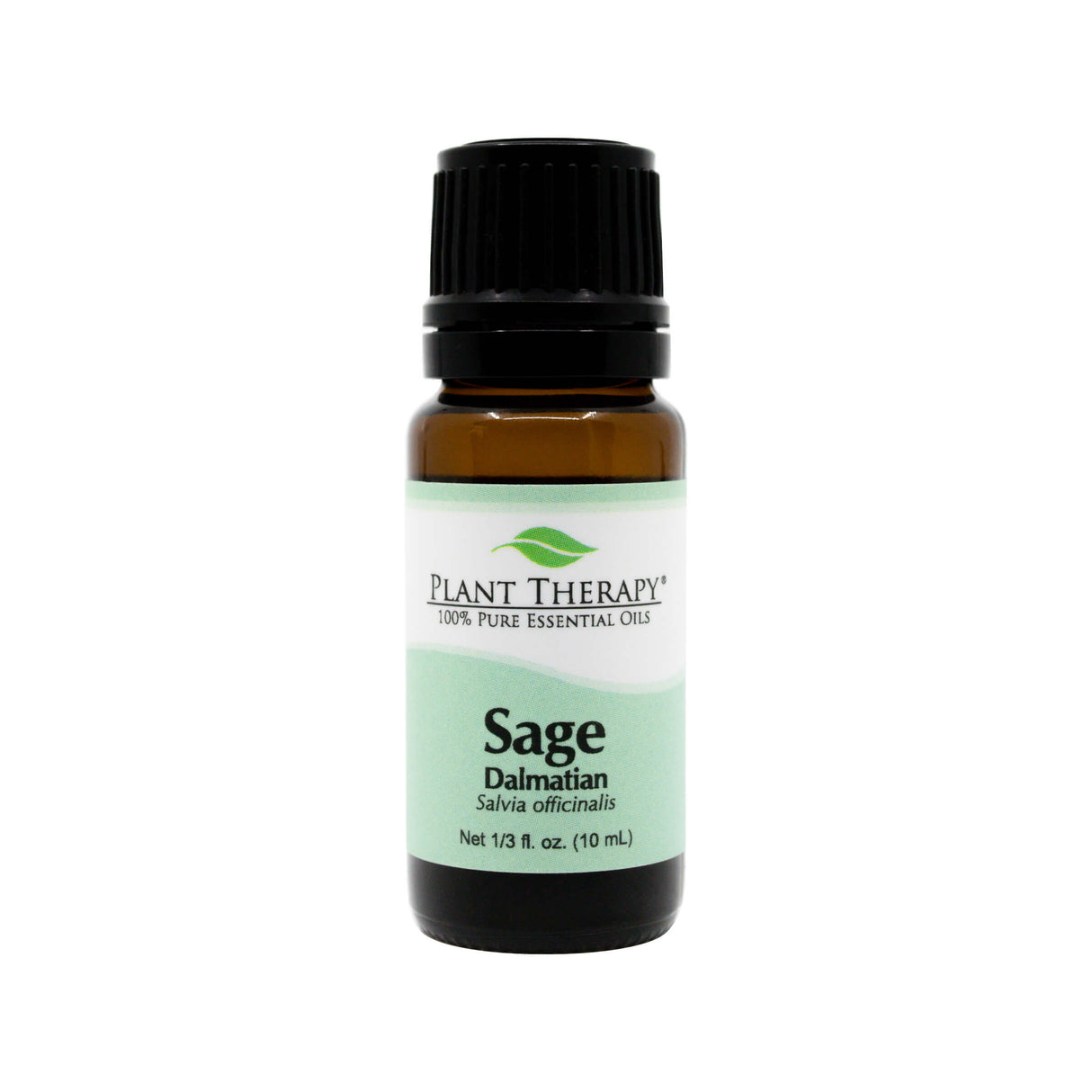 plant therapy dalmatian sage essential oil 10 ml 1/3 fluid ounce