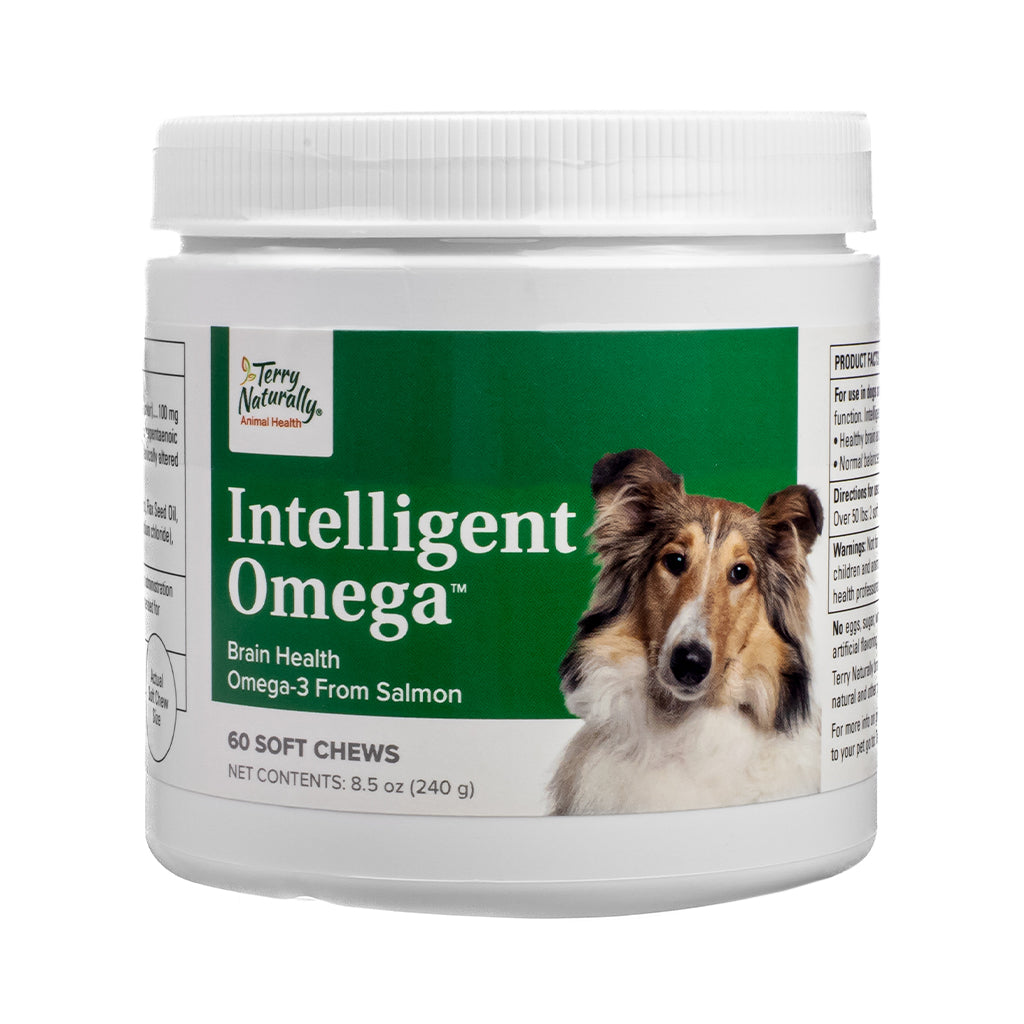 White container of Terry Naturally Animal Health Intelligent Omega with 60 soft chews. Features a photo of a dog and promotes brain health with omega-3 from salmon.
