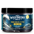 A jar of Wild Theory CBD Co.’s Tidal Wave gummies containing 10mg of Delta-9 THC in blueberry lemonade flavor. The label displays a wave and moon design, with a net weight of 9.3 oz (264g).