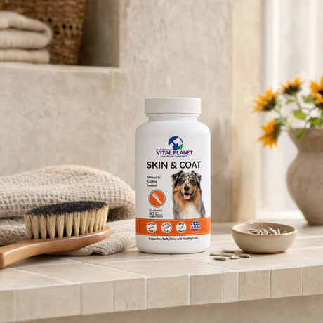 Vital Planet Skin & Coat Chewable Tablets with dog lifestyle scene
