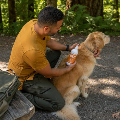 Dr. Mercola Flea & Tick Defense Spray for Pets displayed near a cat in a grassy outdoor setting
