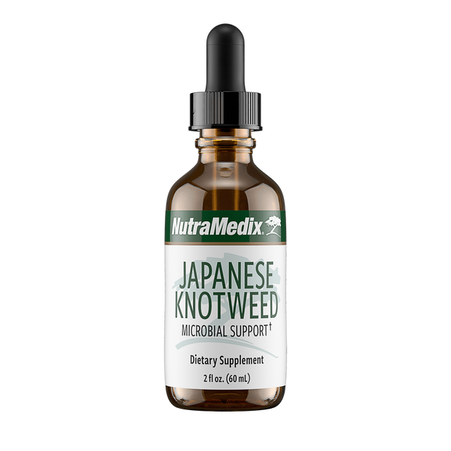 NutraMedix Japanese Knotweed