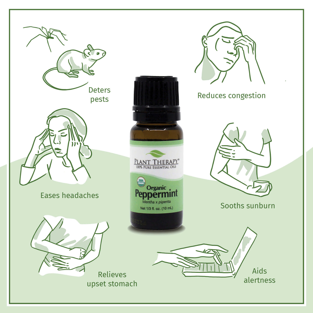 Plant Therapy Organic Peppermint Essential Oil (10 mL) surrounded by icons showing its benefits: deters pests, eases headaches, reduces congestion, soothes sunburn, relieves upset stomach, and aids alertness. The infographic emphasizes the versatile uses of this pure essential oil.